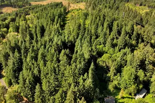 31451 Dutch Canyon Rd, Scappoose, OR 97056 - Photo 41