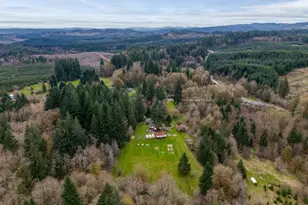 66221 Anliker Rd, Deer Island, OR 97054 - Photo 47