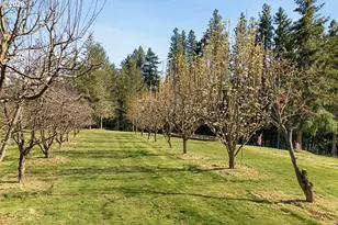 4050 Sylvester Dr, Hood River, OR 97031 - Photo 47