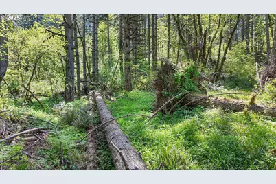 71st St, Springfield, OR 97478 - Photo 35