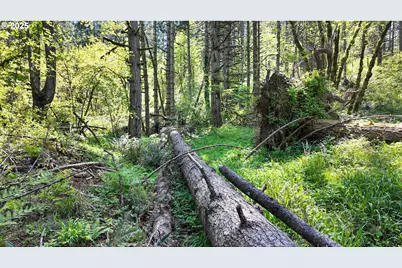 71st St, Springfield, OR 97478 - Photo 37