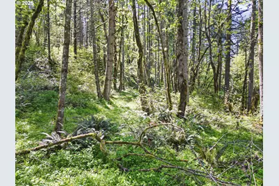 71st St, Springfield, OR 97478 - Photo 23
