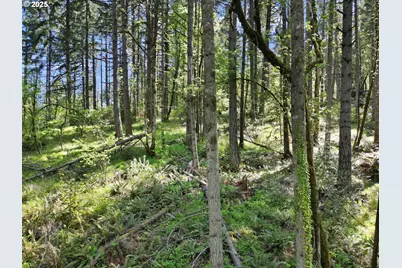 71st St, Springfield, OR 97478 - Photo 7