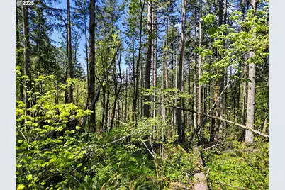 71st St, Springfield, OR 97478 - Photo 27