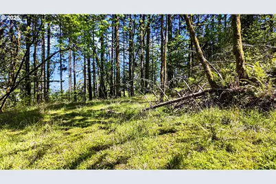 71st St, Springfield, OR 97478 - Photo 33