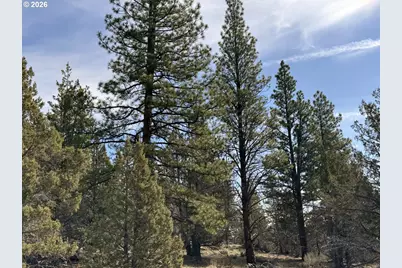 Off Hwy 140 #900, Beatty, OR 97621 - Photo 1