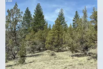 Off Hwy 140 #900, Beatty, OR 97621 - Photo 3