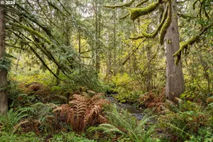 30806 S Grays Hill Rd, Colton, OR 97017 - Photo 35