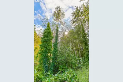 565 Shorepines Ct, Coos Bay, OR 97420 - Photo 33