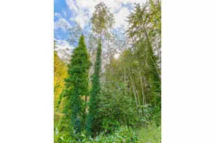 565 Shorepines Ct, Coos Bay, OR 97420 - Photo 33