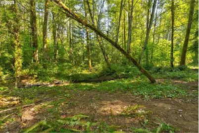 217th, Brush Prairie, WA 98606 - Photo 15