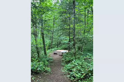 112 Bylin Rd, Stevenson, WA 98648 - Photo 37