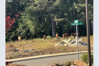 1236 Lighthouse Ln, Brookings, OR 97415 - Photo 43