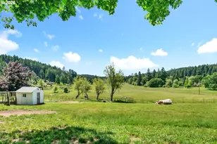 25014 Hall Rd, Cheshire, OR 97419 - Photo 39