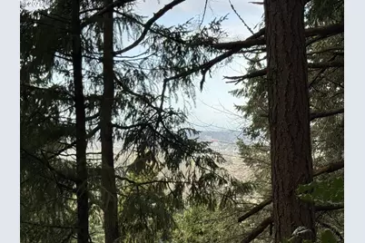 3605 Emerald St, Eugene, OR 97405 - Photo 5