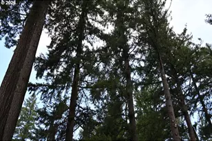 3268 SE 153rd Ave, Portland, OR 97236 - Photo 23