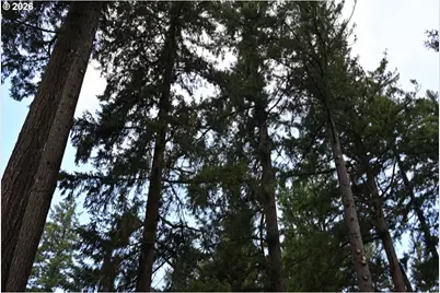 3268 SE 153rd Ave, Portland, OR 97236 - Photo 19