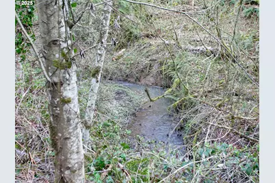 9228 NW McKenna Dr, Portland, OR 97229 - Photo 45