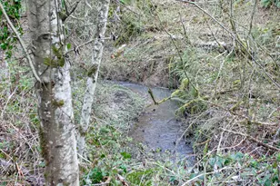 9228 NW McKenna Dr, Portland, OR 97229 - Photo 45