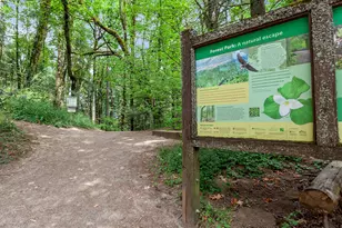 9228 NW McKenna Dr, Portland, OR 97229 - Photo 47