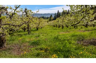 5524 Binns Hill Dr, Hood River, OR 97031 - Photo 41
