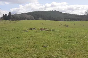 [Address not provided], Oakland, OR 97462 - Photo 15