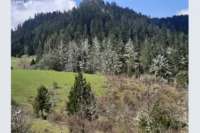 [Address not provided], Oakland, OR 97462 - Photo 13