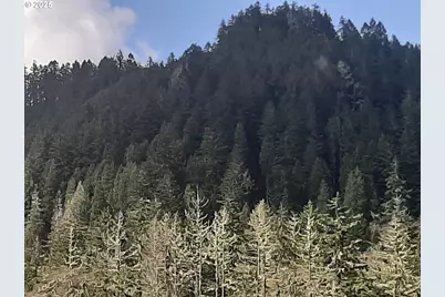 [Address not provided], Oakland, OR 97462 - Photo 19