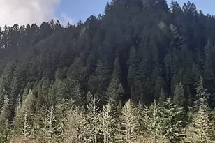 [Address not provided], Oakland, OR 97462 - Photo 19