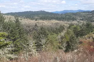 [Address not provided], Oakland, OR 97462 - Photo 17