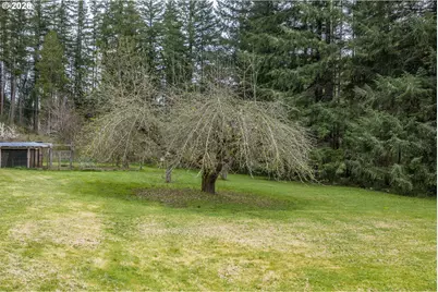 50156 Myrtle Creek Rd, Myrtle Point, OR 97458 - Photo 3