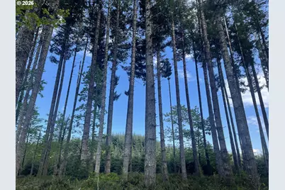 Rock Creek Rd, Sheridan, OR 97378 - Photo 7