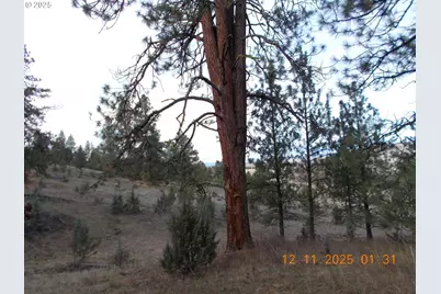 Keeney Fork Rd., Long Creek, OR 97856 - Photo 19