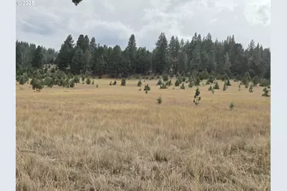 Keeney Fork Rd., Long Creek, OR 97856 - Photo 5