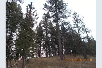 Keeney Fork Rd., Long Creek, OR 97856 - Photo 17