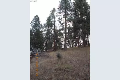 Keeney Fork Rd., Long Creek, OR 97856 - Photo 15