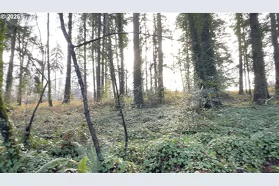 0 SW Walnut St, Tigard, OR 97223 - Photo 9