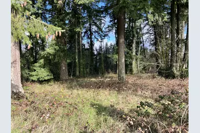 0 SW Walnut St, Tigard, OR 97223 - Photo 5