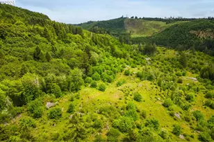 12251 SW East Creek Rd, Willamina, OR 97396 - Photo 41