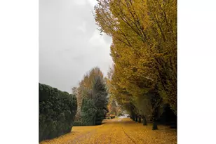 5400 SE Chase Rd, Gresham, OR 97080 - Photo 45