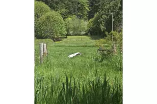 10195 Sweet Creek Rd, Mapleton, OR 97453 - Photo 1