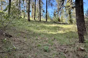 48144 E Pine Creek Rd, Halfway, OR 97834 - Photo 39