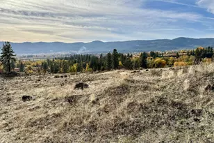 48144 E Pine Creek Rd, Halfway, OR 97834 - Photo 29