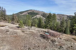 48144 E Pine Creek Rd, Halfway, OR 97834 - Photo 45