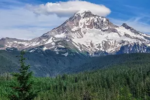 24600 E Bright Ave, Mount Hood Village, OR 97067 - Photo 47