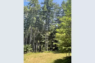 33052 Cedar Valley Rd, Gold Beach, OR 97444 - Photo 13