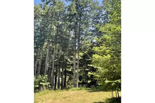 33052 Cedar Valley Rd, Gold Beach, OR 97444 - Photo 13