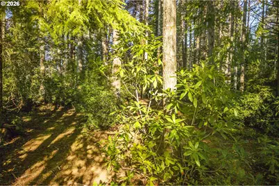 0 Devereux Way, Bandon, OR 97411 - Photo 13