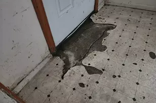 1337 NE Freemont Ave, Roseburg, OR 97470 - Photo 17