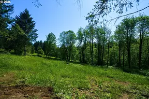 2521 NE 392nd Ave, Washougal, WA 98671 - Photo 39